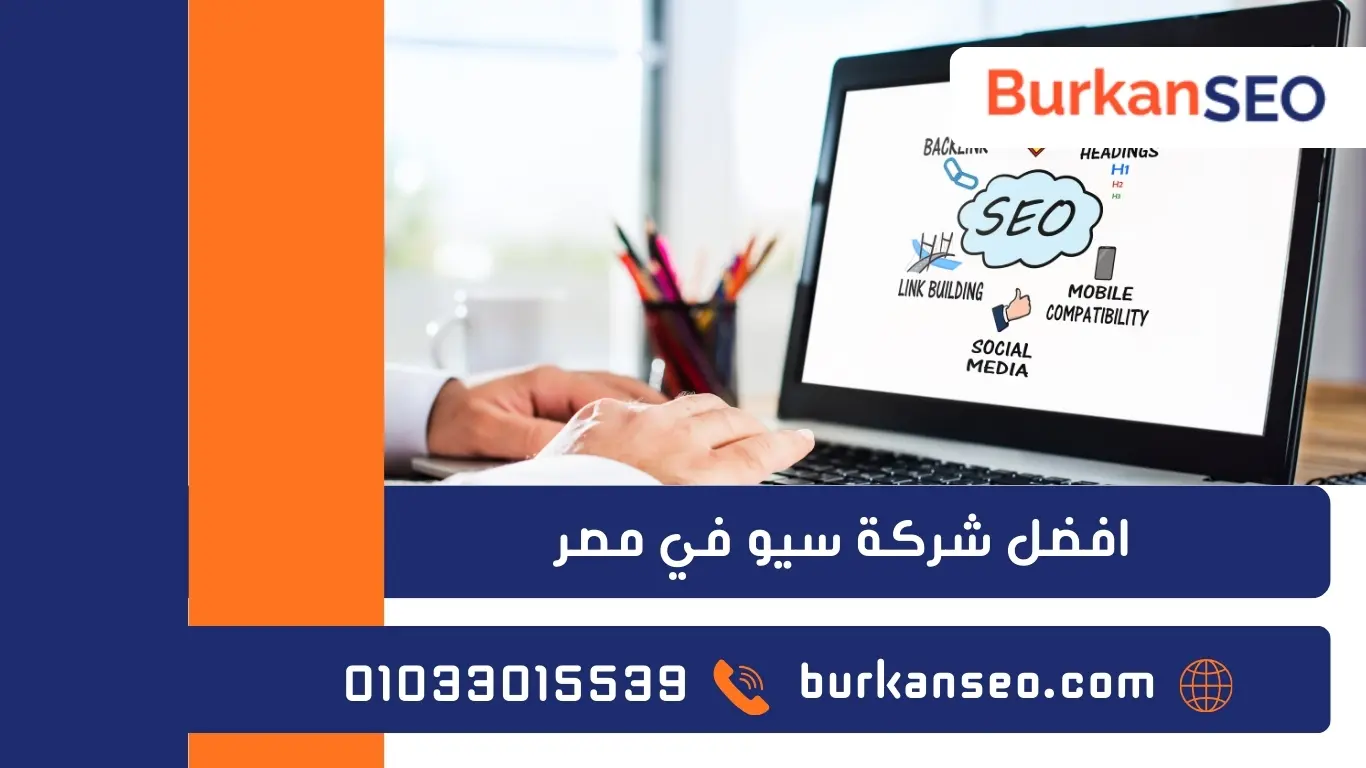 شركات سيو في مصر